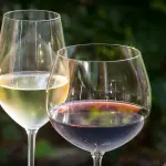 Vinitaly 2026, la Sardegna si presenta a Verona con 112 cantine e una strategia di filiera