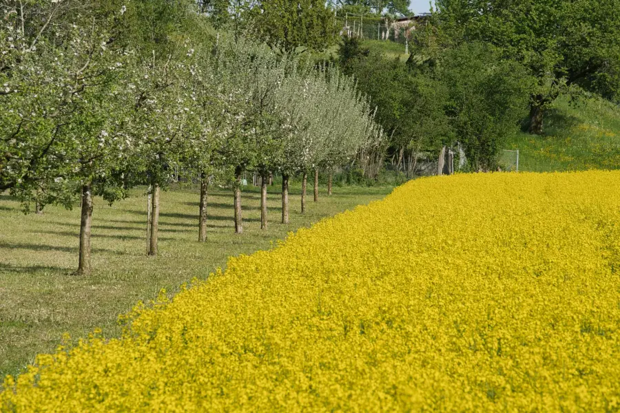 Agrobiodiversità, via alle domande 2026 per gli allevatori custodi: scadenza fissata al 15 maggio