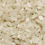 Oristano, risicoltura sotto pressione: allarme di Confagricoltura