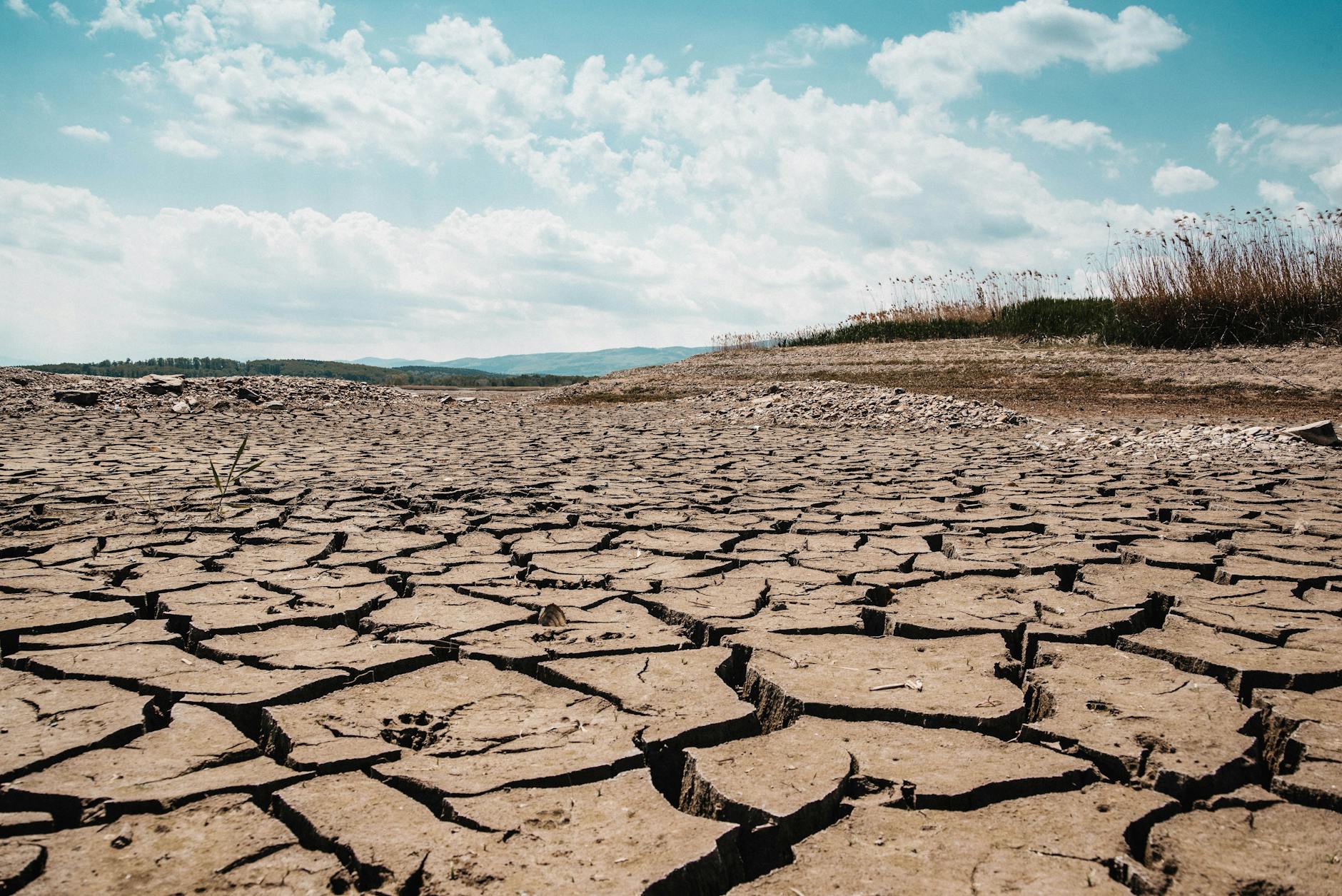Sardegna ad Alicante per l'Alleanza sulla resilienza climatica