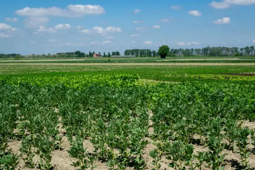 Sardegna, 400mila euro per biodiversità e cibo locale