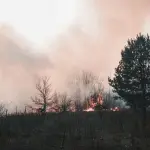 Macchiareddu, consegnati 30 nuovi mezzi antincendio al volontariato sardo