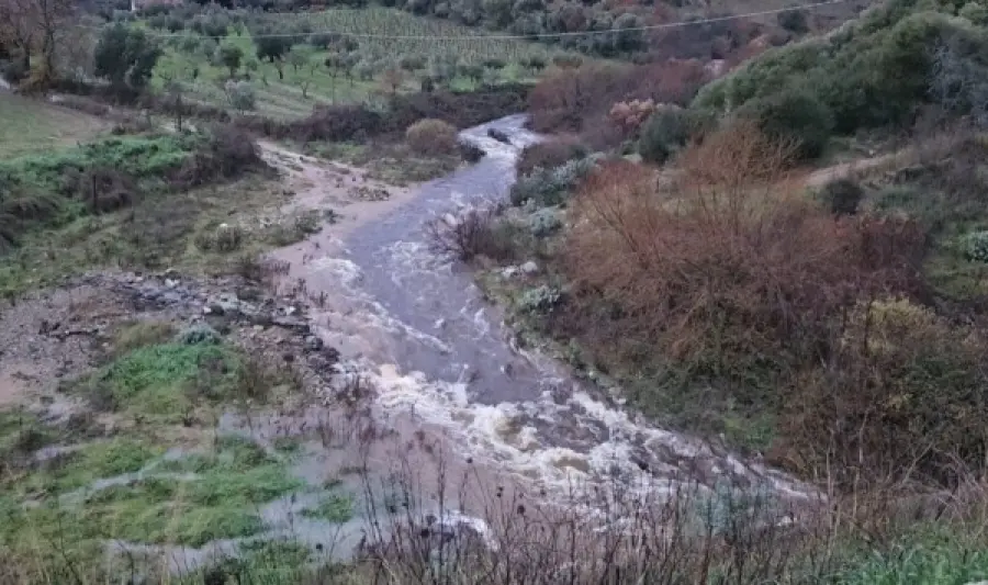 Gestione idraulica in Sardegna, Confagricoltura: «Affidare tutto ai Consorzi di Bonifica»