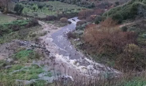 Gestione idraulica in Sardegna, Confagricoltura: «Affidare tutto ai Consorzi di Bonifica»