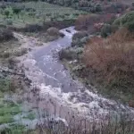 Gestione idraulica in Sardegna, Confagricoltura: «Affidare tutto ai Consorzi di Bonifica»