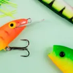 Pesca in Sardegna, più fondi per i danni dei cormorani e confronto sulle emergenze del comparto